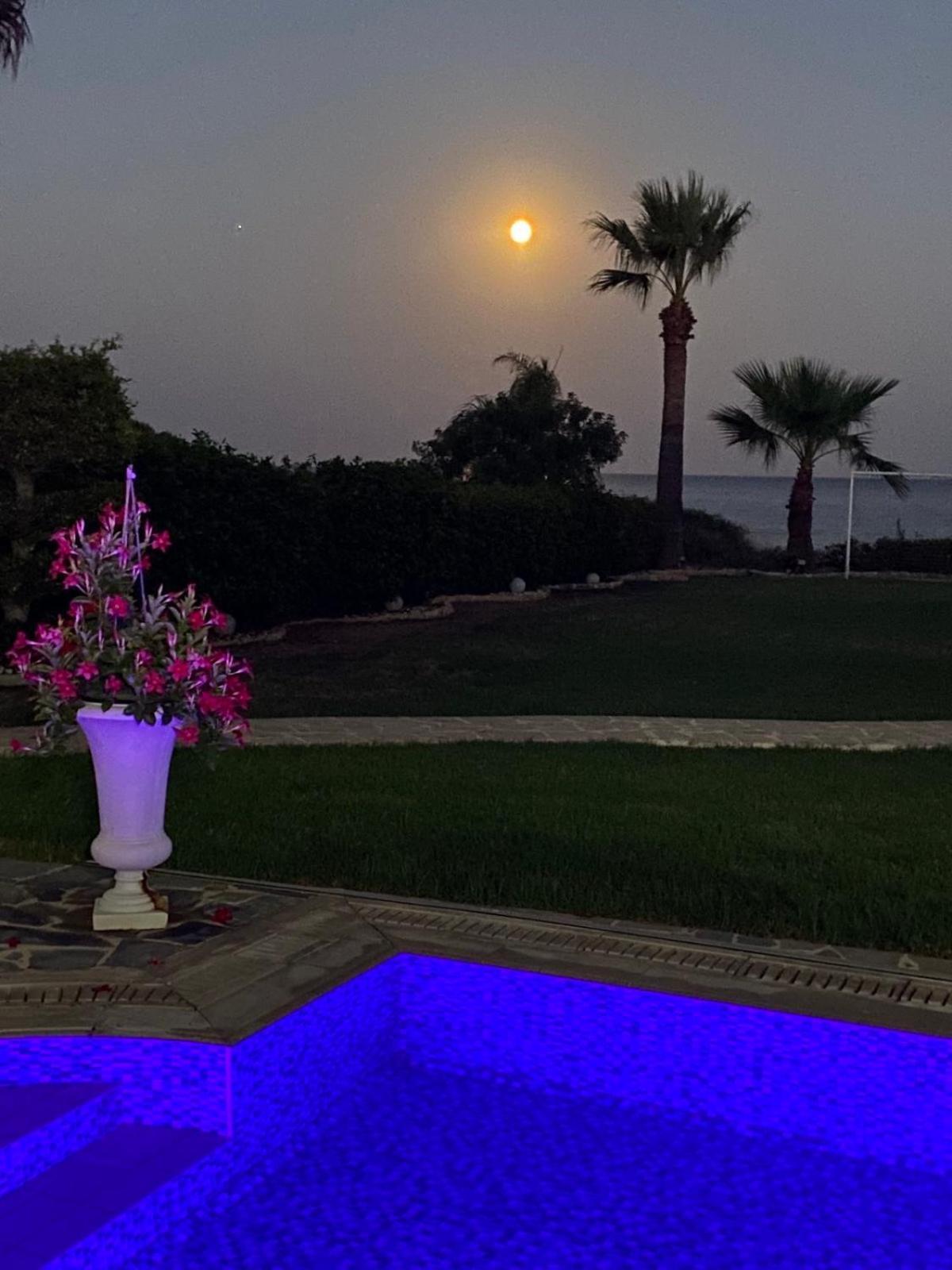 Ionion Beachfront Villa Ayia Napa Esterno foto